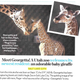 Illustration for article titled This Week in Tabloids: …Caitlyn Jenner Wants to Adopt Paris Jackson??!!
